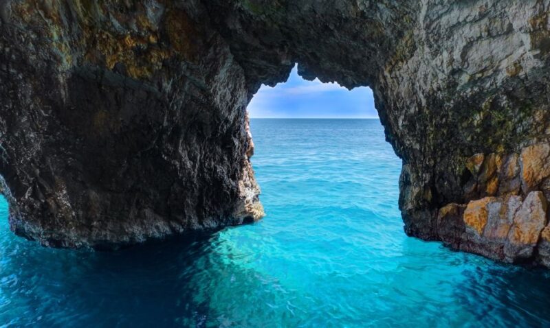 Zakynthos: Turtle Spotting Cruise on a Glass-Bottom Boat - Key Points