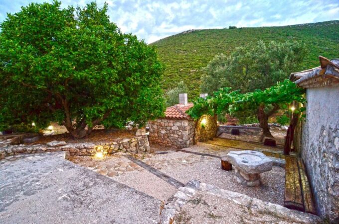 Zakynthos: Vineyard & Winery Tour With Local Winemaker - Grape Varieties and Terroir