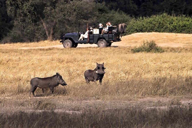 Zambezi River Standard Sunset Cruise - Key Points