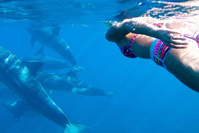 Zanzibar Dolphin Tour Unforgettable Experience! - Inclusions