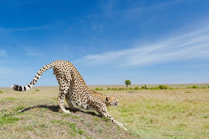 Zanzibar Excursions - Included Lunch