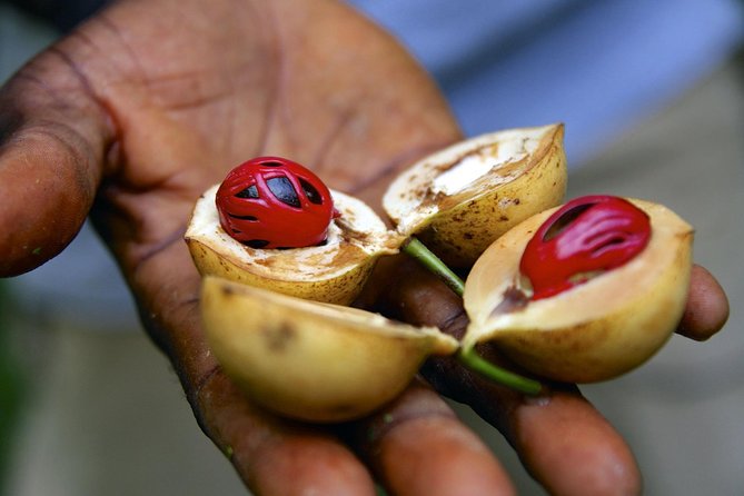 Zanzibar Spice Tour - Accessibility
