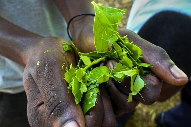 Zanzibar Spice Tour - Exotic Spices and Tropical Fruits