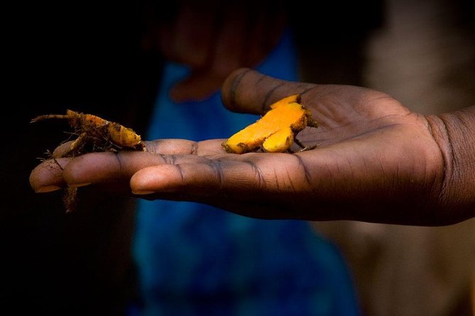 Zanzibar Spice Tour - Culinary and Medicinal Uses
