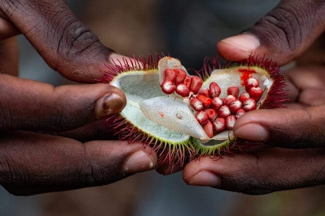Zanzibar Spice Tour - Pickup and Drop-off Details