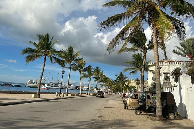 Zanzibar Stone Town Highlight Walking Tour - Exploring Stone Town