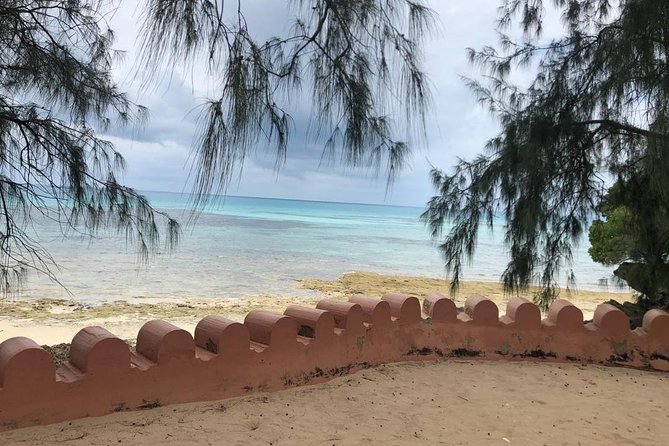 Zanzibars Finest: Private Tour of Top 5 Attractions With Lunch - Savoring Swahili Cuisine at Lunch