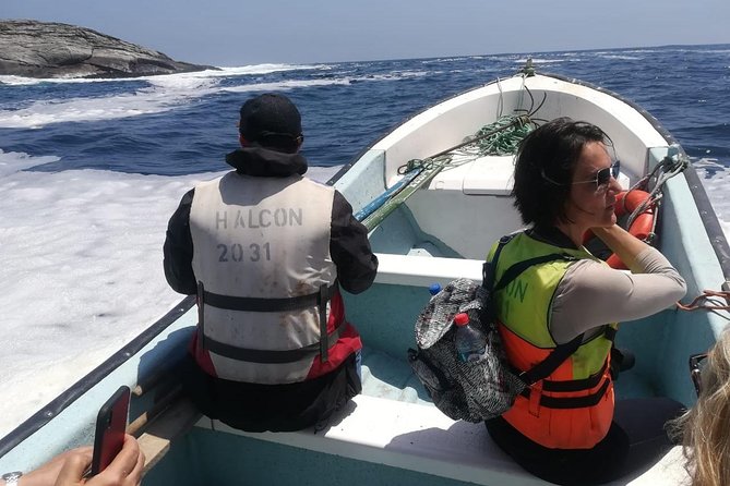 Zapallar and Cachagua Island Experience - Encountering Diverse Wildlife