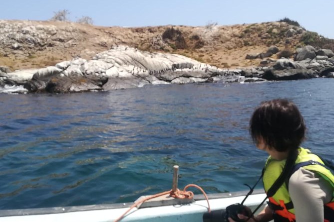 Zapallar and Cachagua Island Experience - Private and Accessible Experience