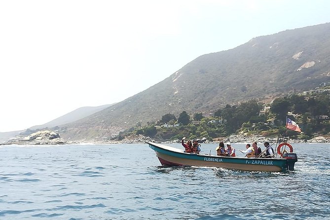 Zapallar and Cachagua Island Experience - Positive Reviews and Ratings