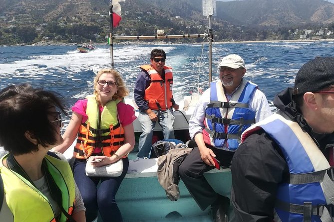 Zapallar and Cachagua Island Experience - Getting to Zapallar and Cachagua