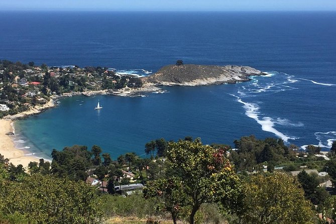 Zapallar Walking & Bird Watching Penguins & Lunch From Valparaiso - Maitencillo Beach Exploration
