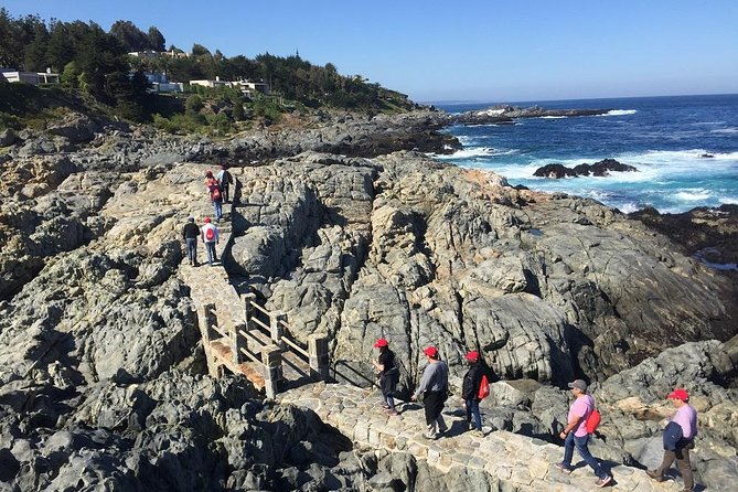 Zapallar Walking & Bird Watching Penguins & Lunch From Valparaiso - Traveler Information