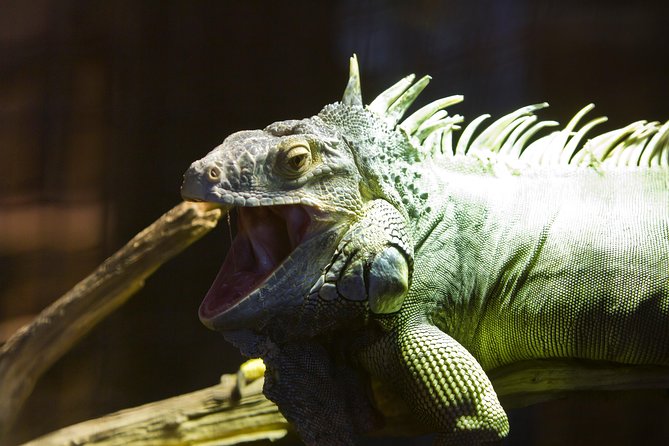 Zaragoza Aquarium Admission Ticket - Nearby Attractions and Landmarks