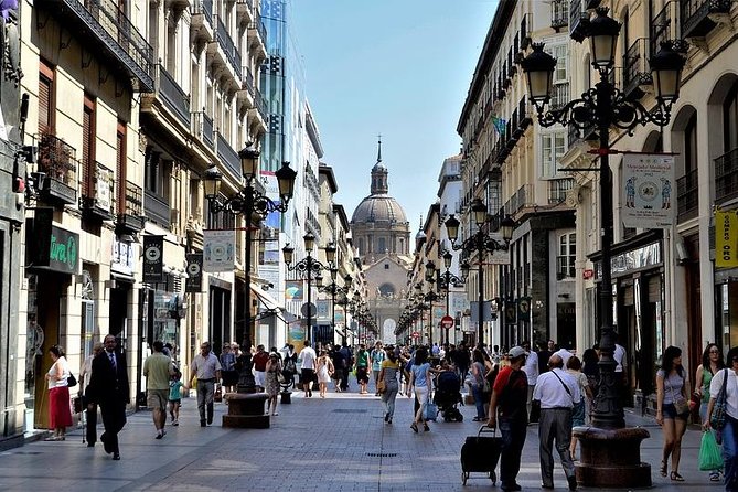 Zaragoza Private Walking Tour With Official Tour Guide - Highlights of the Tour