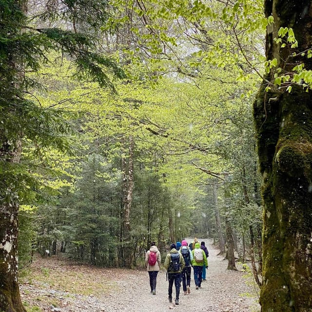 Zaragoza-Pyrenees: Hiking Through the National Park of Ordesa - Key Points