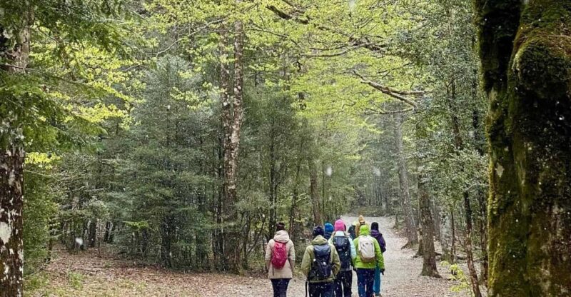 Zaragoza-Pyrenees: Hiking Through the National Park of Ordesa - Detailed Itinerary