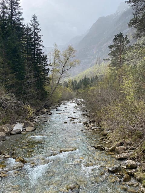 Zaragoza-Pyrenees: Hiking Through the National Park of Ordesa - Highlights of the Day Trip