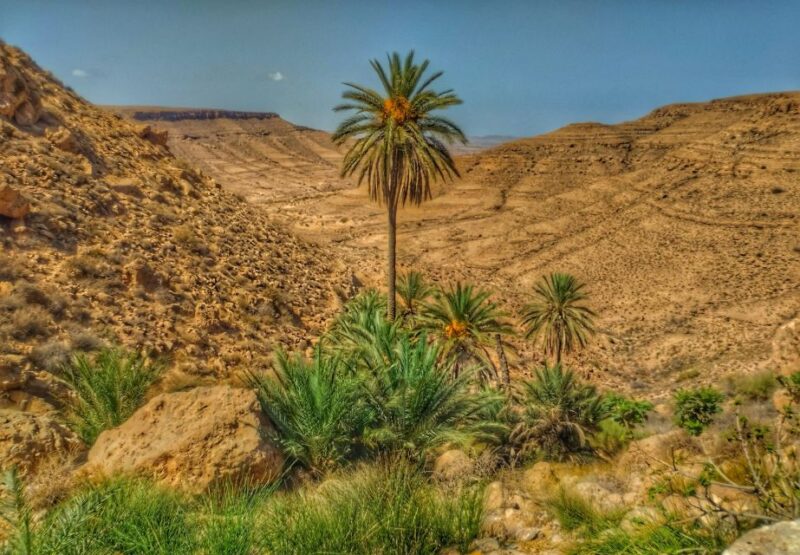 Zarzis/Djerba: Dhaher Mountain Hike With Ksar Jouamaa Stay - Accommodation at Ksar Jouamaa