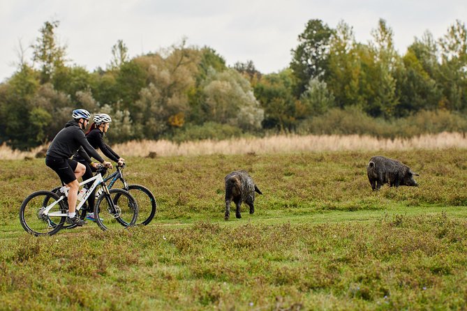 Zasavica Bike Tour - Quick Points