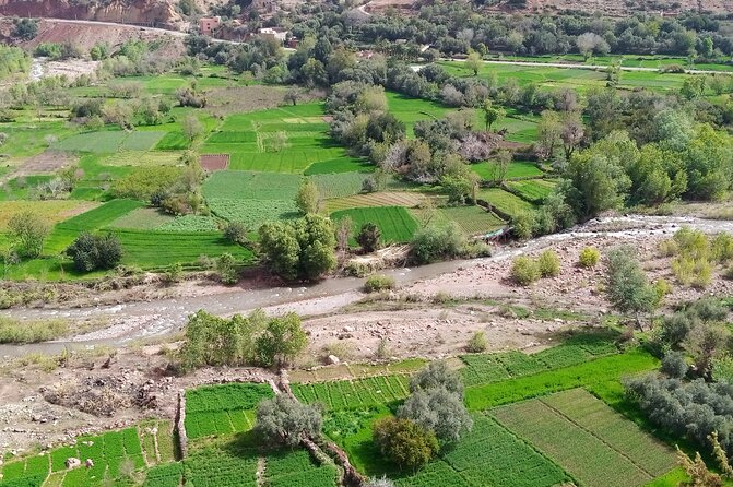 Zat Valley and Atlas Mountains Private Day Trip From Marrakech - Taking in Berber Culture