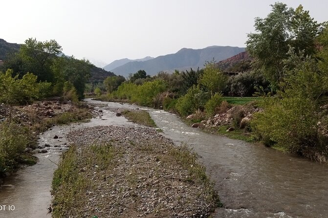 Zat Valley and Atlas Mountains Private Day Trip From Marrakech - Traveler Reviews and Ratings