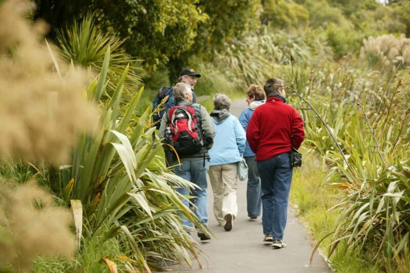 Zealandia by Day Tour - Why the Guided Tour Enhances Your Visit