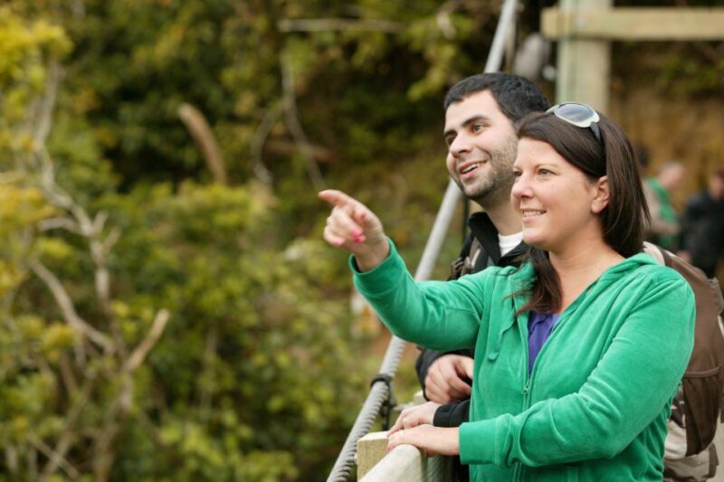 Zealandia by Day Tour - Experience Highlights