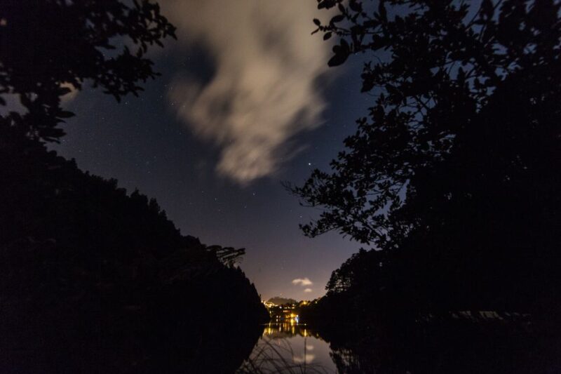 Zealandia by Night Tour - Key Points