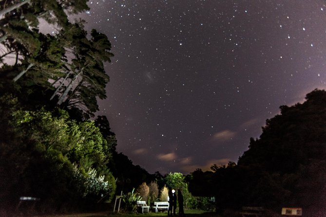 Zealandia Small Group Eco Wildlife Night Tour - Tour Details