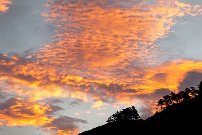 Zealandia Small Group Eco Wildlife Night Tour - Positive Experiences