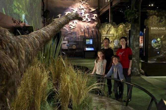 Zealandia Small Group Eco Wildlife Night Tour - Tour Duration and Weather