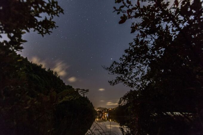 Zealandia Twilight Ecosanctuary Tour - Seasonal Availability and Start Times