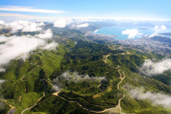 Zealandia Twilight Ecosanctuary Tour - Customer Feedback
