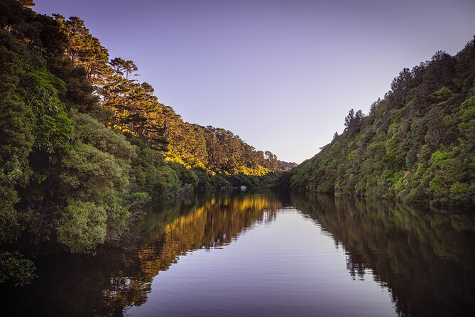 Zealandia - Twilight Guided Eco Wildlife Tour - Complimentary Hot Drink