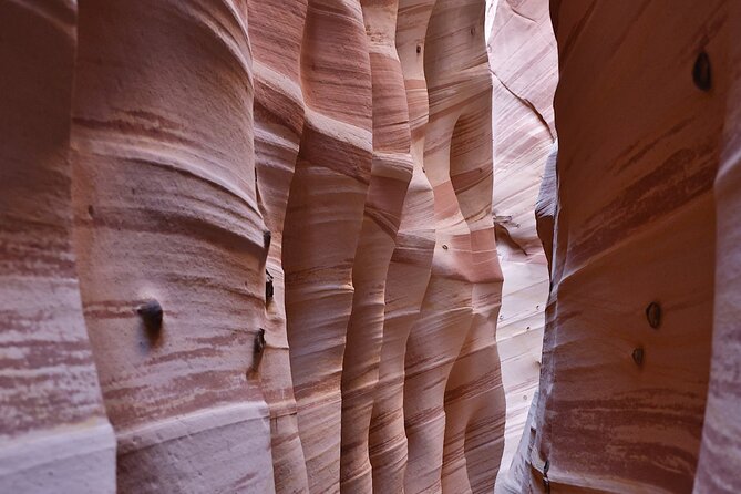 Zebra Slot Canyon Hiking Tour in Escalante - Tour Details