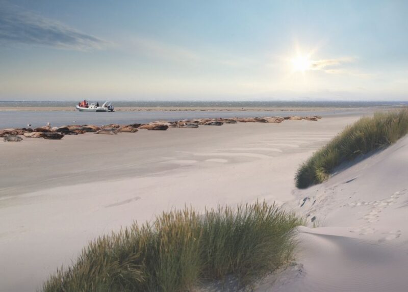 Zeebrugge: Seal Watching Boat Tour With Glass of Champagne - Booking Information