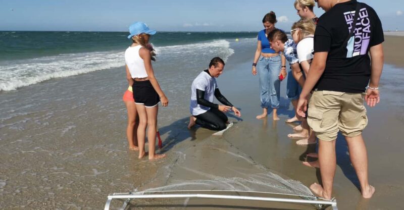 Zeeland Strand Safari Met Visnet Nl/En/De Private Tour - Key Points