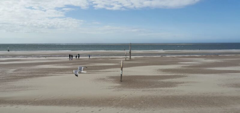 Zeeland Strand Safari Met Visnet Nl/En/De Private Tour - Safety and Environmental Respect