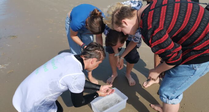Zeeland Zeehonden Strand Safari Nl/En/De - Frequently Asked Questions