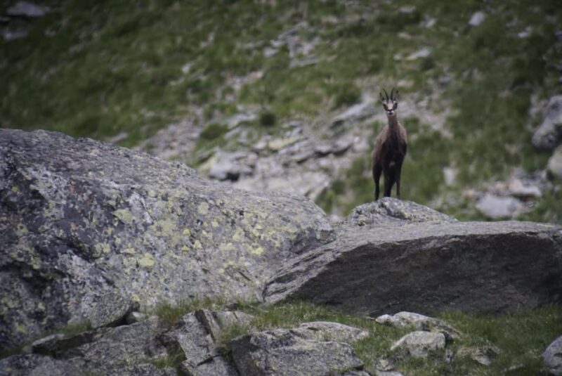 Zermatt: Hiking in the Unique Mountain World - Meeting Point and What to Bring