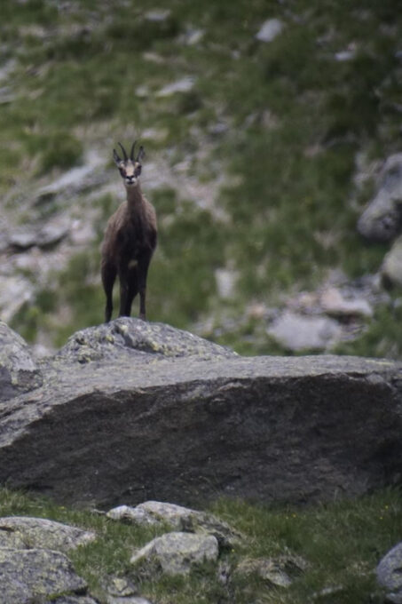 Zermatt: Hiking in the Unique Mountain World - Frequently Asked Questions