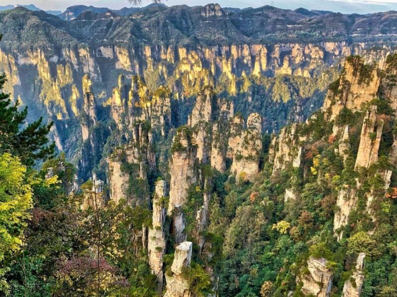 Zhangjiajie: Highlights Tour With Glass Bridge & Cable Car - Frequently Asked Questions