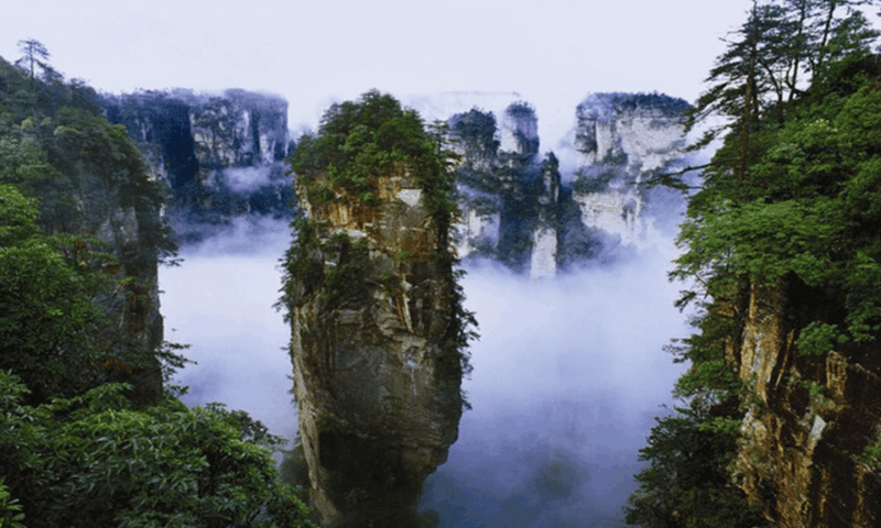 Zhangjiajie Must See Avatar Mountain& Glass Bridge Day Tour - Inclusions