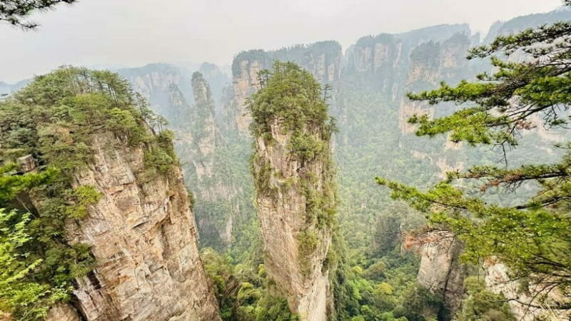 Zhangjiajie: National Forest Park 1-Day VIP Private Tour - Key Points