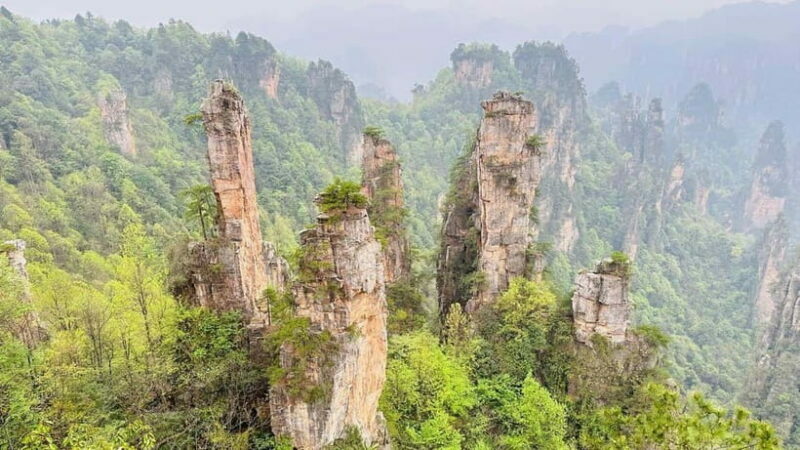 Zhangjiajie: National Forest Park 1-Day VIP Private Tour - An Introduction to the Zhangjiajie VIP Private Tour