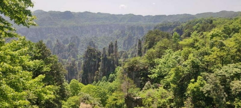 Zhangjiajie: National Forest Park 1-Day VIP Private Tour - The Benefits of VIP Access and Private Tour Features