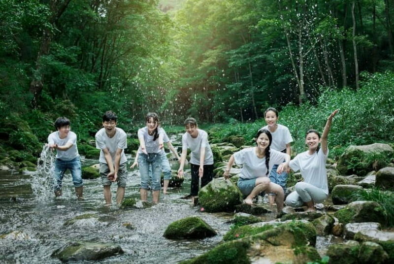 Zhangjiajie: National Forest Park 1-Day VIP Private Tour - Cost and Value