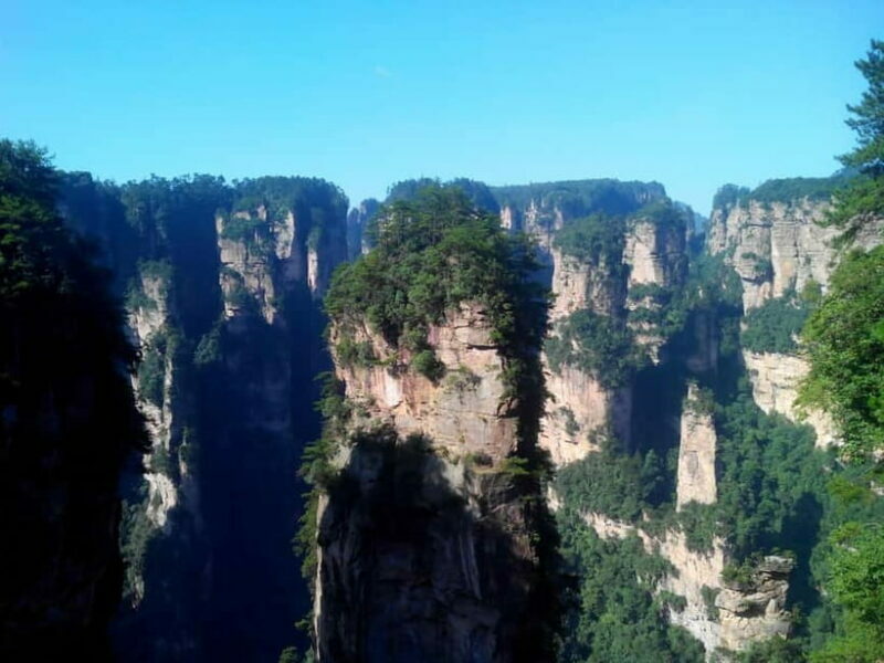 Zhangjiajie: National Forest Park 1-Day VIP Private Tour - What Travelers Say: Authentic Experiences and Insights