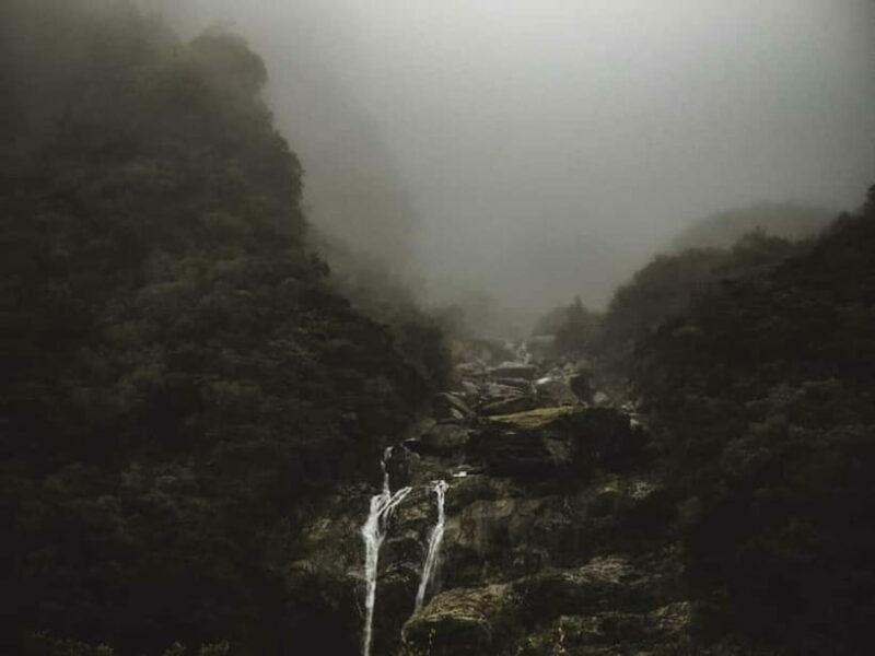 Zhangjiajie: National Forest Park 1-Day VIP Private Tour - FAQ